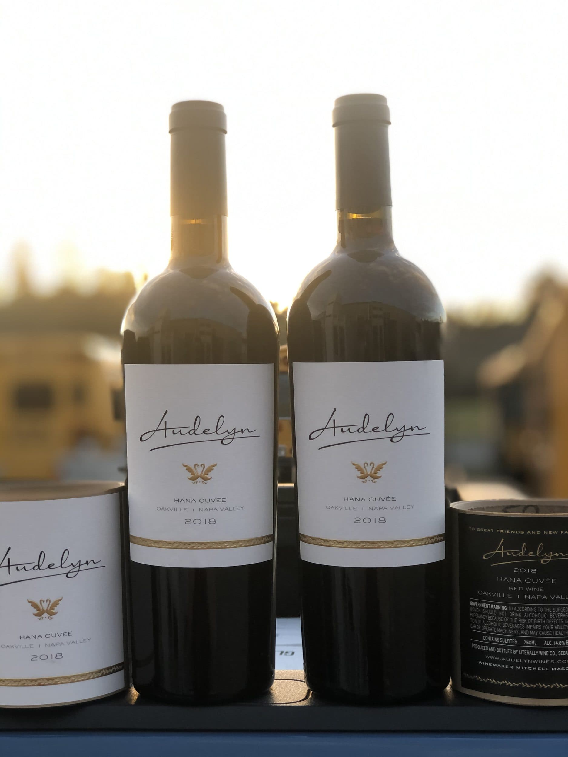 2018 Audelyn Cabernet Sauvignon bottles
